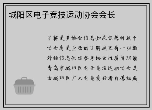 城阳区电子竞技运动协会会长